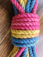 Blue/pink/yellow jute shibari rope